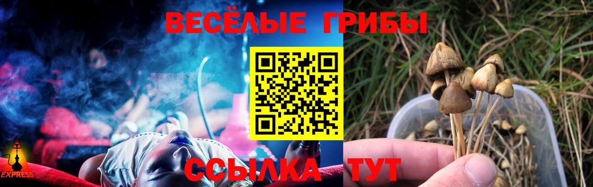 Галлюциногенные грибы Psilocybe Ижевск